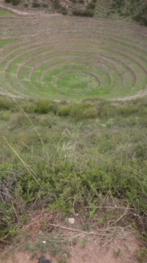 Cusco Peru 'da Moray arkeolojik alanı. İnkalar tarafından yapılan tarım laboratuvarı..