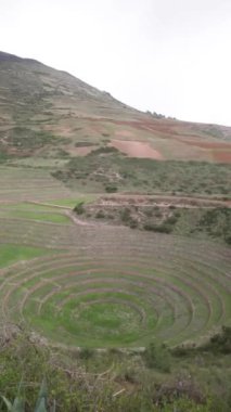 Cusco Peru 'da Moray arkeolojik alanı. İnkalar tarafından yapılan tarım laboratuvarı..