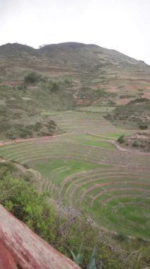 Cusco Peru 'da Moray arkeolojik alanı. İnkalar tarafından yapılan tarım laboratuvarı..