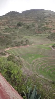 Cusco Peru 'da Moray arkeolojik alanı. İnkalar tarafından yapılan tarım laboratuvarı..