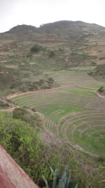 Cusco Peru 'da Moray arkeolojik alanı. İnkalar tarafından yapılan tarım laboratuvarı..