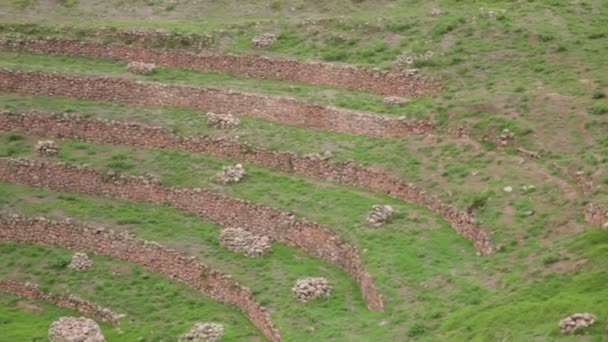 Sítio Arqueológico Moray Cusco Peru Laboratório Agrícola Feito Pelos Incas — Vídeo de Stock