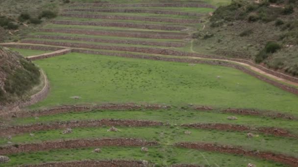 Archeologické Naleziště Moray Cusco Peru Laboratoř Zemědělství Inků — Stock video