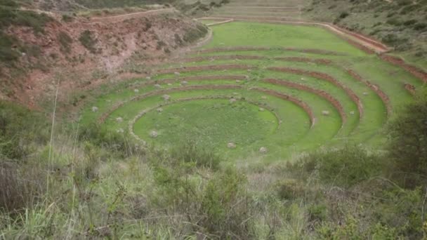Archeological Site Moray Cusco Peru Agriculture Lab Made Incas — Vídeo de Stock