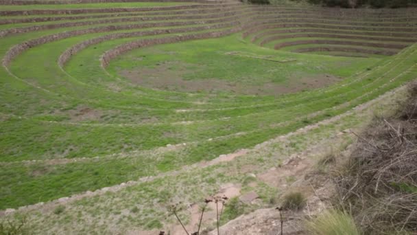 Sitio Arqueológico Moray Cusco Perú Laboratorio Agricultura Hecho Por Los — Vídeos de Stock