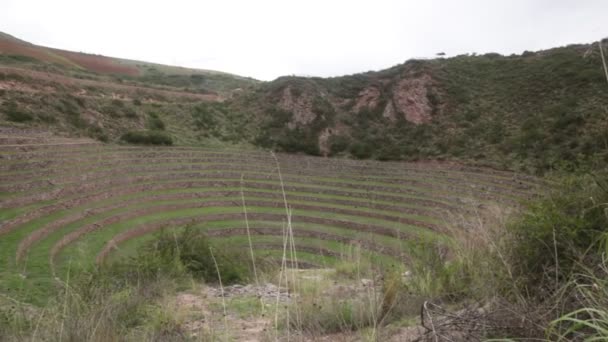 Cusco Peru Moray Arkeolojik Alanı Nkalar Tarafından Yapılan Tarım Laboratuvarı — Stok video