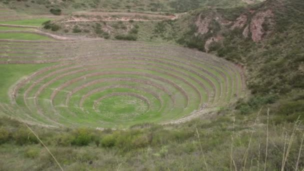 Archeological Site Moray Cusco Peru Agriculture Lab Made Incas — Video Stock