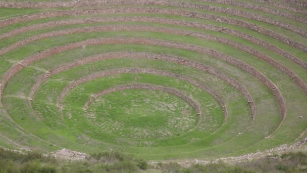 Sitio Arqueológico Moray Cusco Perú Laboratorio Agricultura Hecho Por Los — Vídeos de Stock