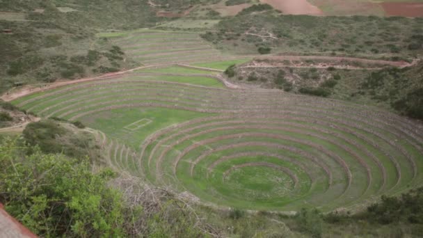 Sítio Arqueológico Moray Cusco Peru Laboratório Agrícola Feito Pelos Incas — Vídeo de Stock