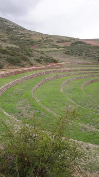 Sito Archeologico Moray Cusco Perù Laboratorio Agricoltura Realizzato Dagli Incas — Video Stock