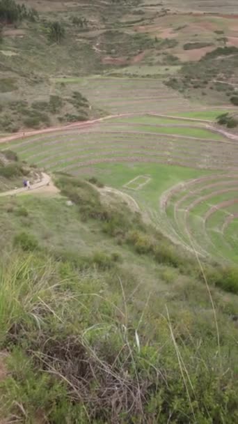 Archeologické Naleziště Moray Cusco Peru Laboratoř Zemědělství Inků — Stock video