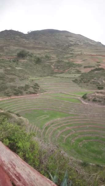 Археологический Сайт Moray Куско Перу Сельскохозяйственная Лаборатория Инков — стоковое видео