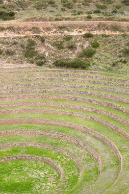 Cusco Peru 'da Moray arkeolojik alanı. İnkalar tarafından yapılan tarım laboratuvarı..