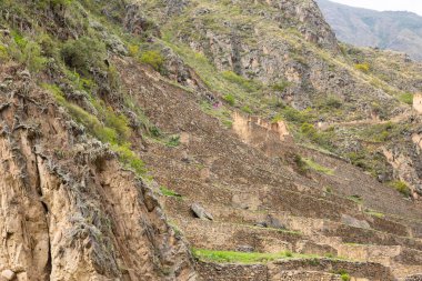 Ollantaytambo, Cusco Peru 'da bir kale ve İnka şehri. Peru And Dağları 'ndaki Kutsal Vadi' de antik bir bina.