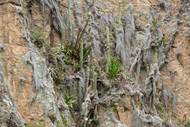 Ollantaytambo, Cusco Peru 'da bir kale ve İnka şehri. Peru And Dağları 'ndaki Kutsal Vadi' de antik bir bina.