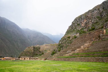 Ollantaytambo, Cusco Peru 'da bir kale ve İnka şehri. Peru And Dağları 'ndaki Kutsal Vadi' de antik bir bina.