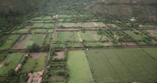 Utsikt Över Jordbrukets Struktur Gjord Inka Kultur Yucay Staden Den — Stockvideo