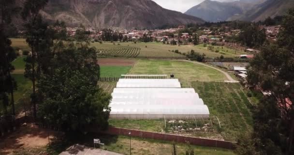 Pemandangan Udara Rumah Kaca Sisi Pedesaan Urubamba Cusco Teknologi Pertanian — Stok Video