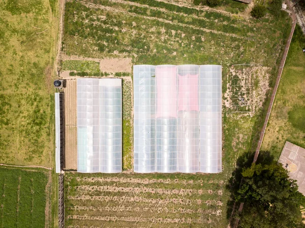Aerial View Greenhouse Rural Side Urubamba Cusco Agriculture Technology Sacred — Fotografia de Stock
