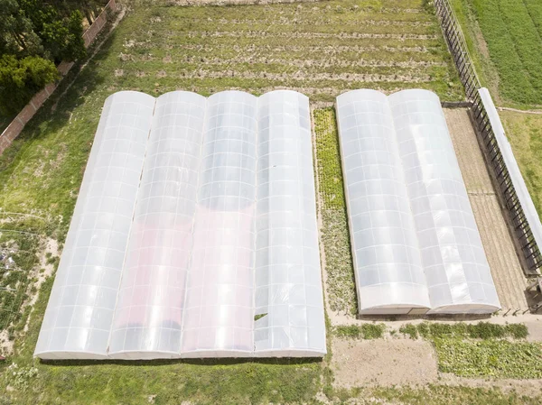 Aerial View Greenhouse Rural Side Urubamba Cusco Agriculture Technology Sacred — 图库照片