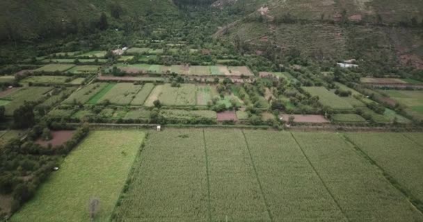 View Agriculture Structure Made Inca Culture Yucay Town Sacred Valley — Wideo stockowe