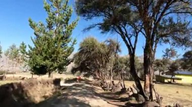 Peru And Dağları 'na yolculuk. Yüksek irtifa dağları otomobille And kırsalından geçiyor.. 