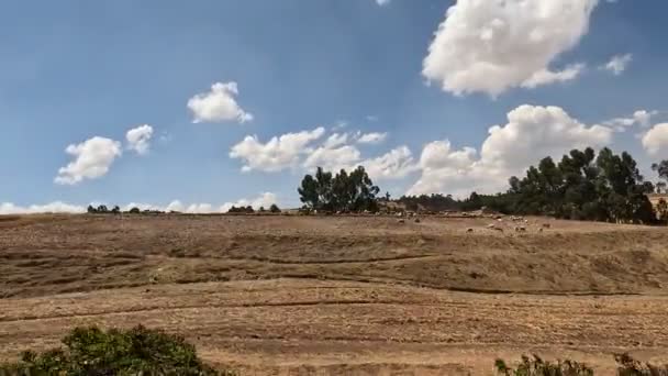 Viaggio Auto Cusco Perù Vicino Alla Valle Sacra Viaggiare Maras — Video Stock