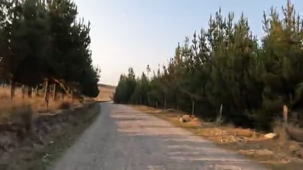 Een Roadtrip Peruaanse Andes Hoge Hoogte Bergtocht Met Auto Het — Stockvideo