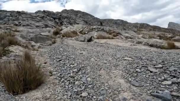 Trekking Altas Montañas Los Andes Peruanos Escena Andina Más 4000Msnm — Vídeos de Stock