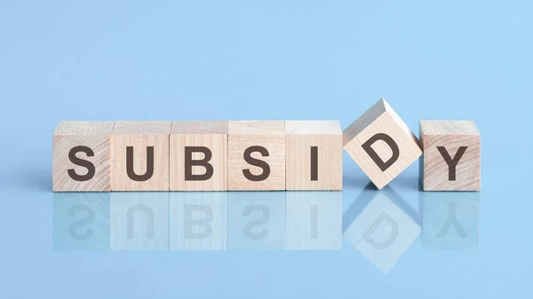 subsidy word written on wood block. reduction word is made of wooden building blocks lying on the blue table. Business concept