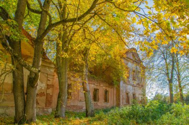 Sarı gökyüzünün altındaki ormanda perili bir ev ve karanlık ve korkutucu bir atmosfer.