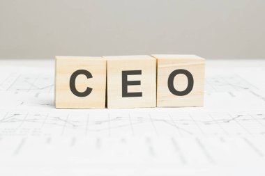 CEO tahta, gri arka planda söylenenleri engelliyor. CEO - Genel müdür, bilgi kavramları.