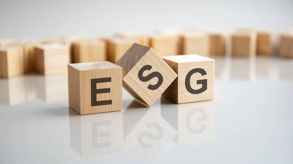 Esg Word Made Wooden Cubes Gray Background Esg Short Environmental — Fotografia de Stock