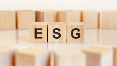 ESG kelimesi tahta küplerin üzerine yazılır. Blokların etrafında hafif bir arka planda. İşletme ve finansal kavramlar için kullanılabilir. ESG 'nin kısaltması Enveronktal SOSYAL GOVERNANCE.