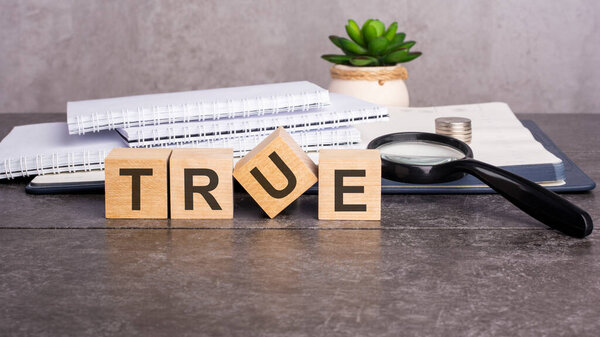 the word True is written on wooden cubes on a gray background. close-up of wooden elements, magnifying glass, paper documents and coins on a notebook