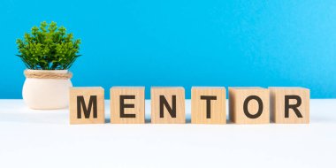 Beyaz yüzeyde alışkanlıkları olan tahta küplerin arka planında parlak mavi bir arka plan ve saksıda yeşil canlı bir çiçek var. seçici odak