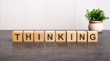 Tahta küplerdeki düşünme alfabesinin harfleri, karanlık yüzeydeki yazının yansıması. Beyaz arkaplanda yeşil bir bitki