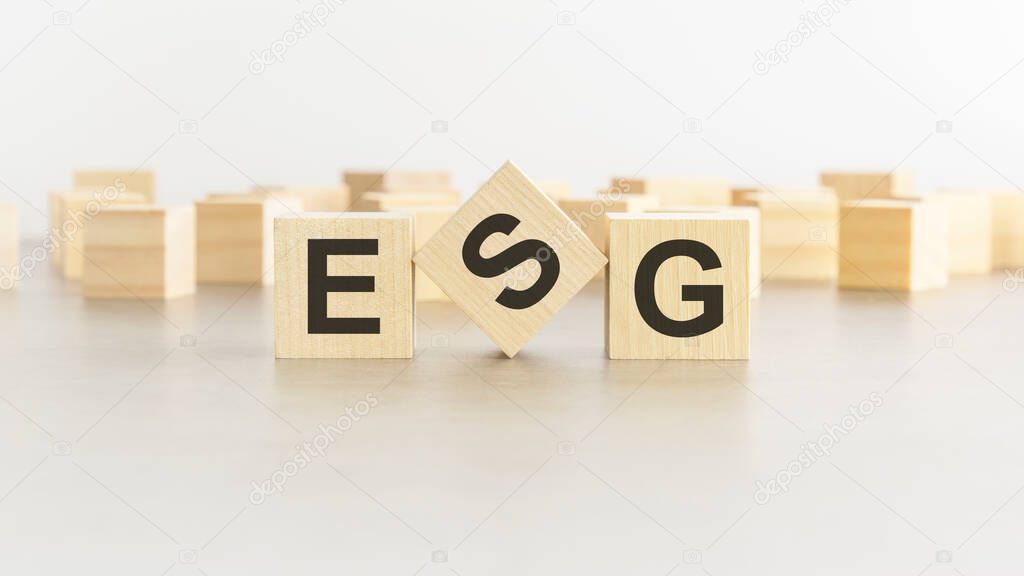 ESG - Environmental Social Governance - letter pices on the wooden cubes, white background