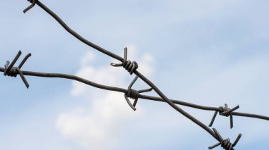 Eski dikenli teller mavi gökyüzüne karşı