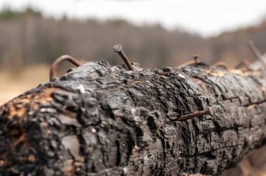 Arka plan olarak kullanılmak üzere yanmış kütüklerin yakın plan görüntüsü. Kömürün yüzeyindeki tüm ayrıntılar