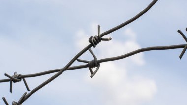 Eski dikenli teller mavi gökyüzüne karşı