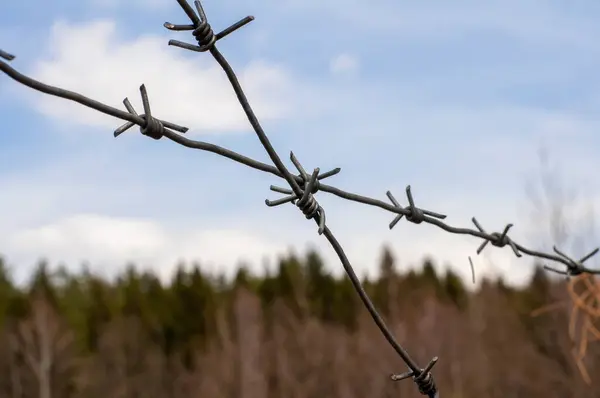 old barbed wire against the background of an forest