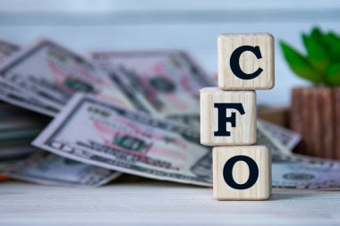 CFO (Mali İşler Müdürü) - bir kaktüsün arka planındaki tahta küplerin kısaltması ve banknotlar. İş konsepti