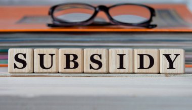 SuBSIDY - evrak ve gözlüklü bir klasörün arka planında tahta küplerle ilgili bir söz. İş konsepti