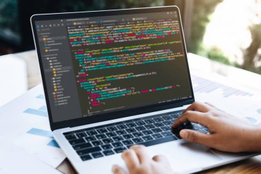Dizüstü bilgisayar ekranında kopyalama alanı olan program kodlama vuruşları. Dijital dil programlamak için farklı renk dikdörtgenleri.