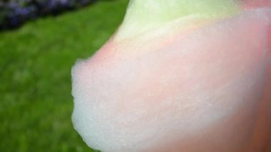 Fotokopi alanı olan çok renkli pamuklu şeker. Bulanık yeşil zemin üzerinde açık pamuk şekerden oluşan sarı, pembe, mavi bir yüzey. Beyaz kız parçalarını koparıp pamuk helva yiyor..