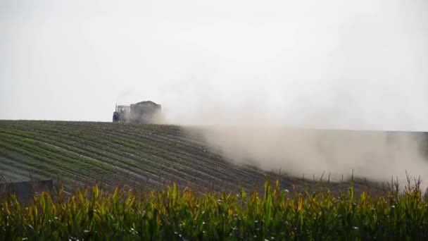 Traktor Fährt Über Staubfeld Maisfeld Ernte Von Silage Durch Erntemaschinen — Stockvideo