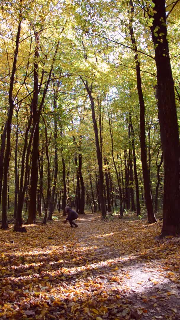 Kobieta Raduje Się Jesienią Rzuca Liśćmi Spaceruje Lesie Droga Leśna — Wideo stockowe