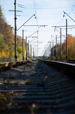 Demiryolu sonbahar ağaçları arasında yer alır. Sonbahar ormanlarından geçen sütunların yanındaki demiryolu ve yataklar. Sonbahar mevsimi konsepti.