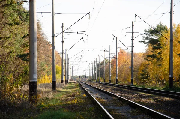 Demiryolu Sonbahar Ağaçları Arasında Yer Alır Sonbahar Ormanlarından Geçen Sütunların — Stok fotoğraf